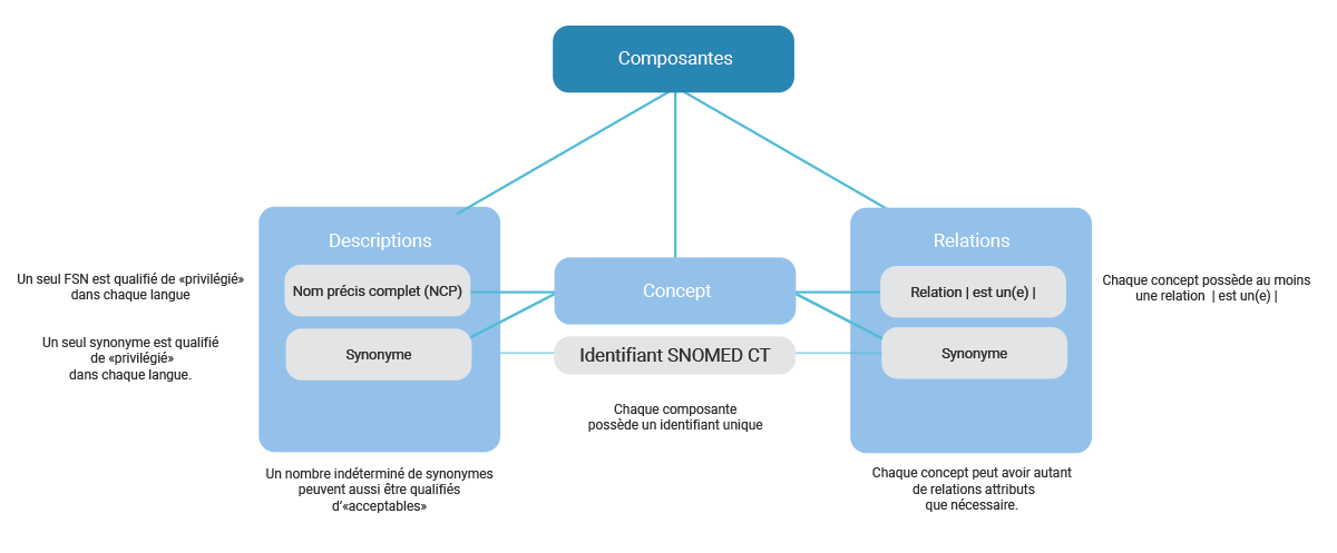 schema snomed ct terminologie clinique